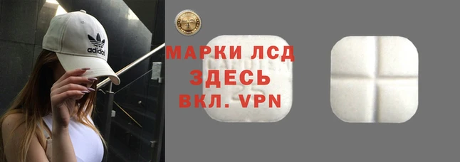 mdpv Дмитровск