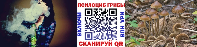 Купить где  Струнино  Псилоцибиновые грибы мицелий 